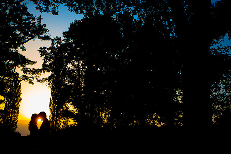 Hochzeitsbilder im Sonnenuntergang am Waldrand