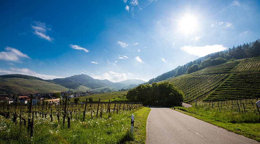 Weingut in Baden Baden