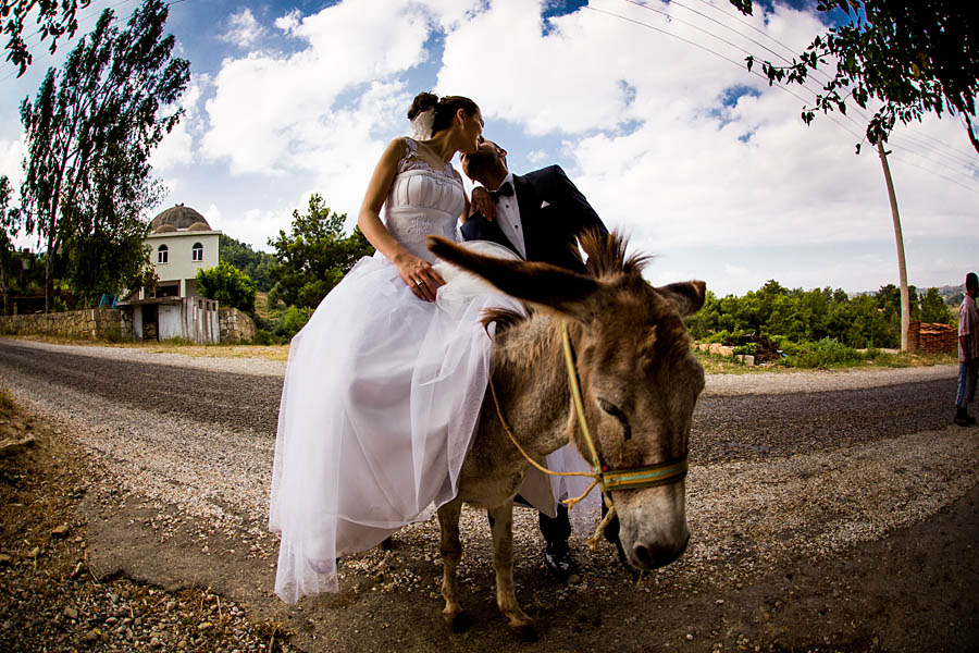Brautpaar küsst sich auf coolem Esel