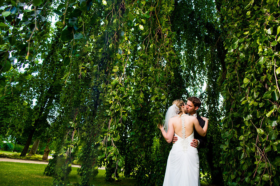 Brautpaar steht zwischen Ästen eines alten Baumes