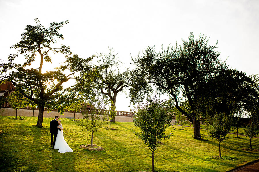 Brautpaar steht in Wiese der Propstei Johannesberg nach Hochzeit