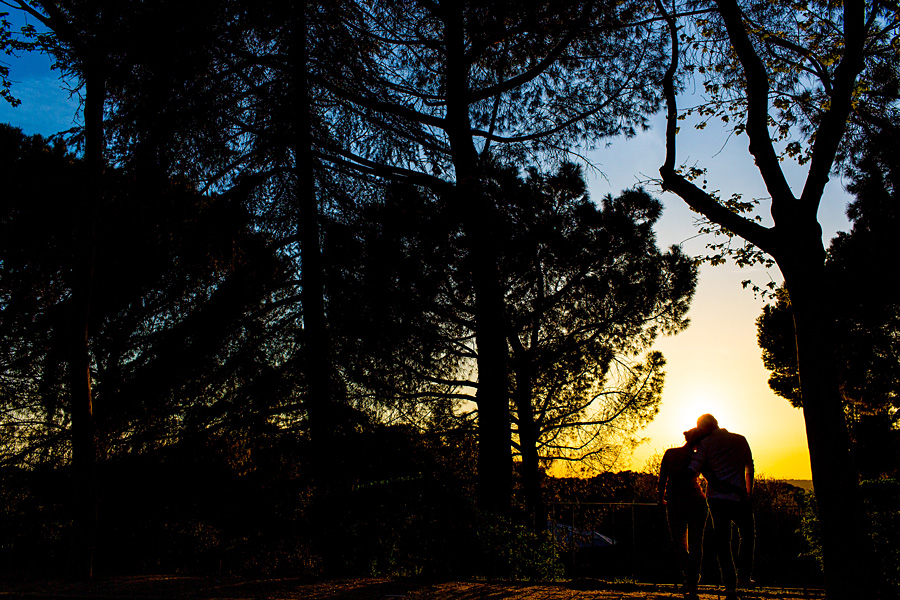 Sonnenuntergang arm in arm Templdo de Debod - Madrid
