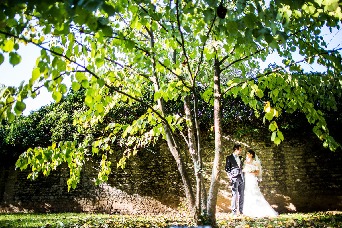 hübsches Brautpaar heiratet in Würzburg und steht unter einem Baum