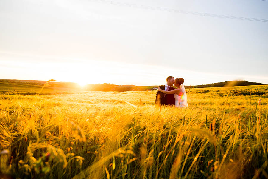 Küsst sich im Kornfeld