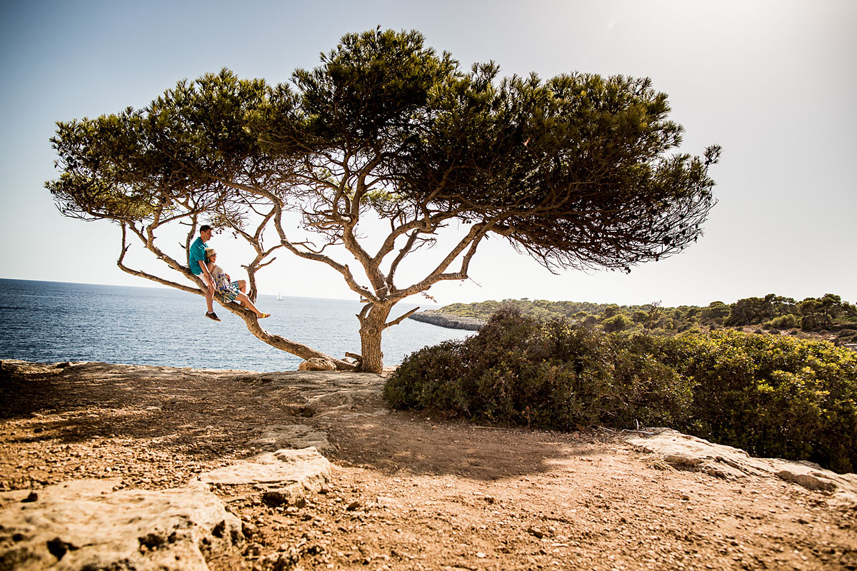 Paar sitzt auf Baum in Mallorca - traumhafte Strände - paarbilder