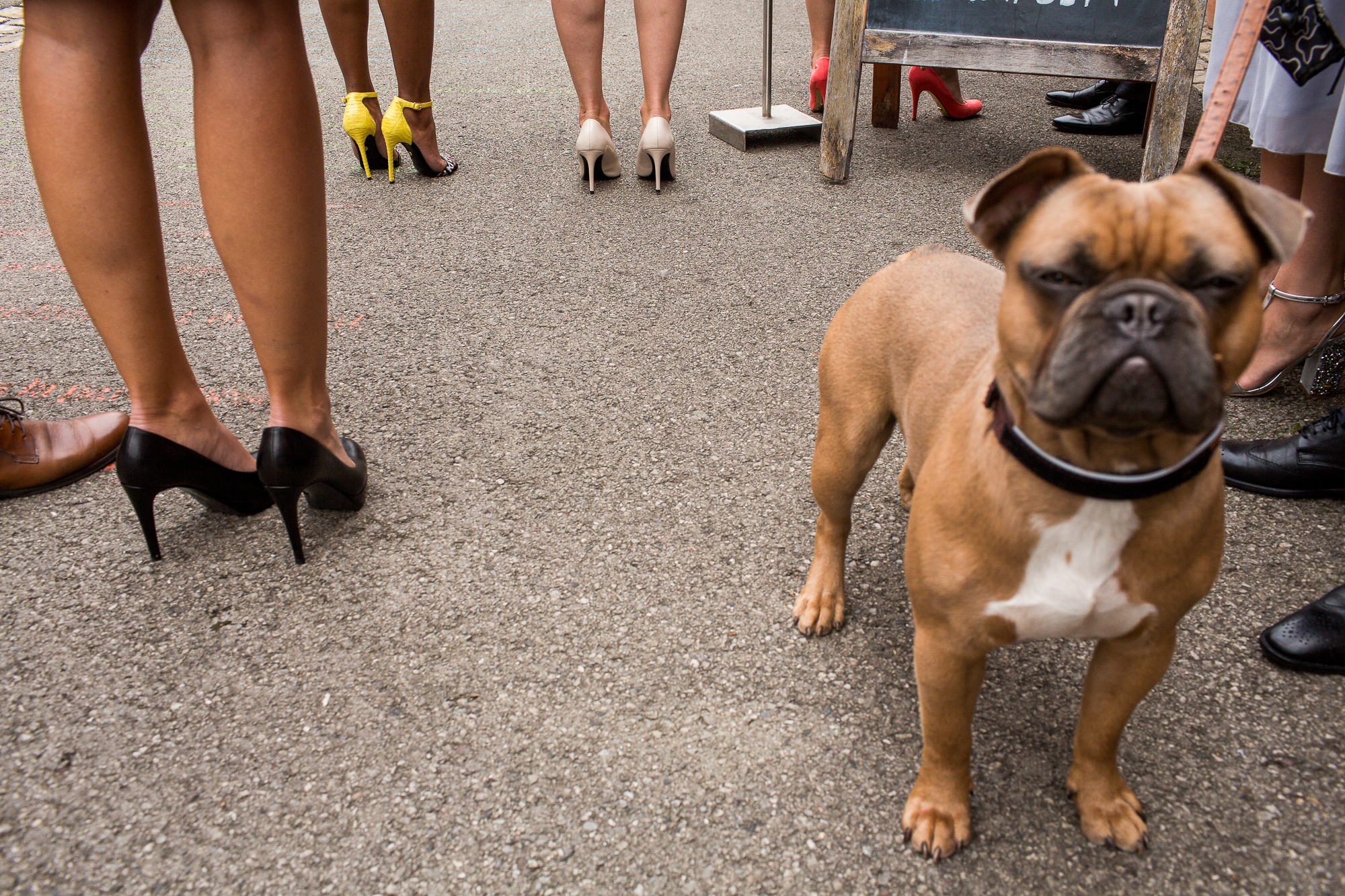 Luxemburg, Hochzeit, dog, Schuhe, Stilettos, high Heels, wedding, Traumhochzeit