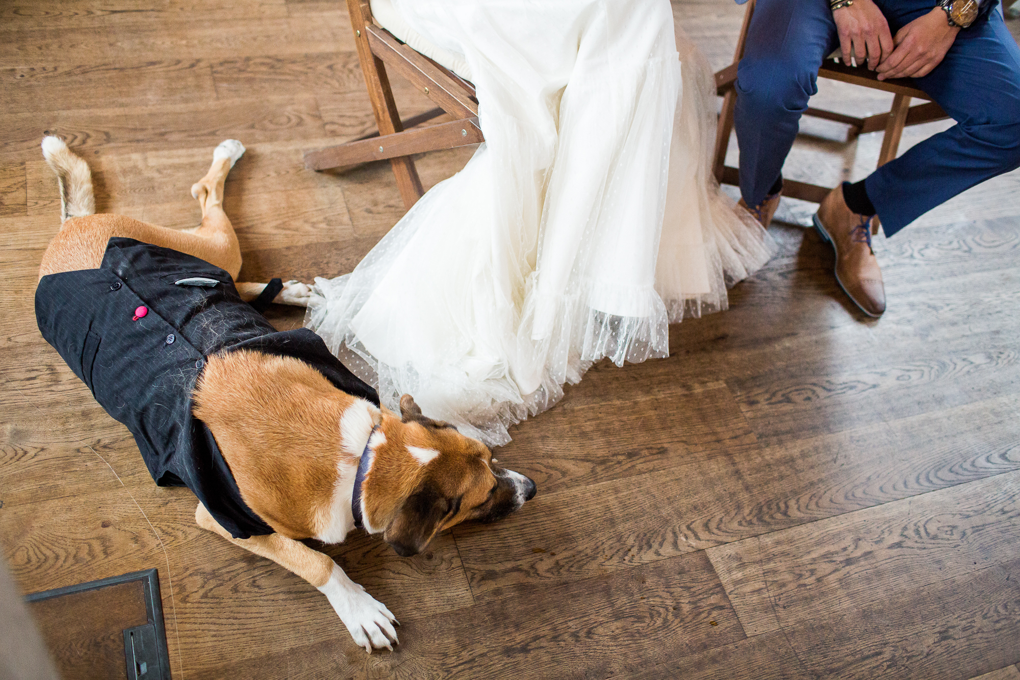 Luxemburg, Hochzeit, dog, wedding, Traumhochzeit, location, groom, bride, wedding dress, Dreamwedding, Rock wedding, aufregung, romantisch 